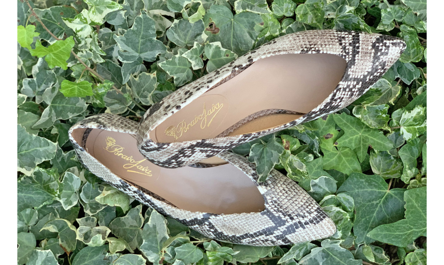 How to wear snake print shoes all year round - Bravo Java